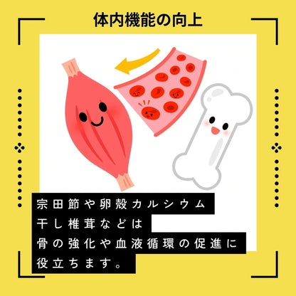 わんちゃん食堂 馬肉 犬用 完全 無添加 ごはん ドックフード 1キロ×3袋 成犬 シニア ダイエット フード 日本製 ヒューマングレード アレルギー 全犬種 全年齢 パッケージ変更あり