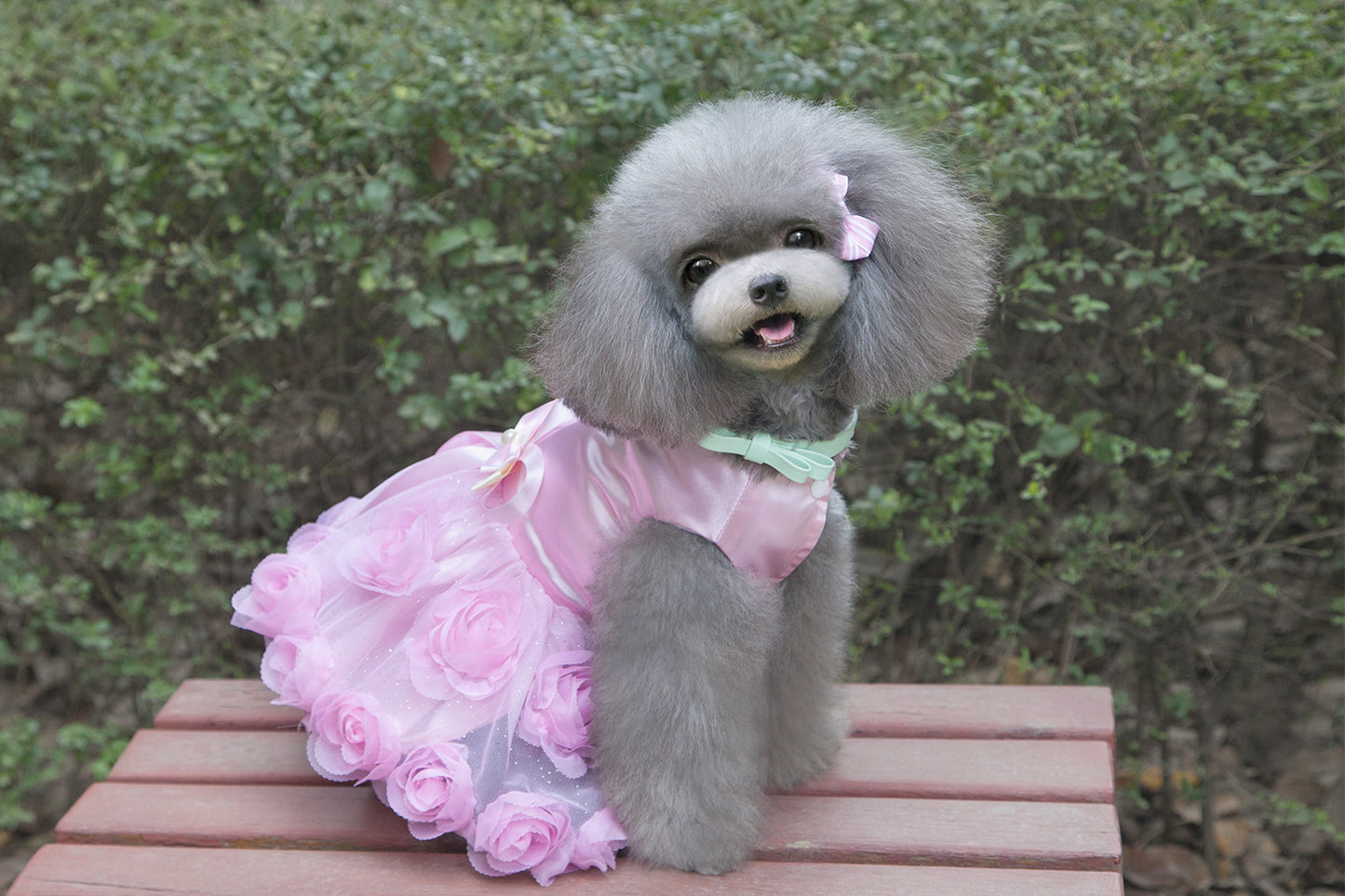 猫 犬 洋服 犬服 ペット服 大中小型犬 ペット用品 犬/猫用 犬の服 ペットウエア 小型犬 中型犬 通気 可愛い ドッグウェア トレーナー 犬 服 ワンピース サロペット ビションフリーゼ 犬猫服