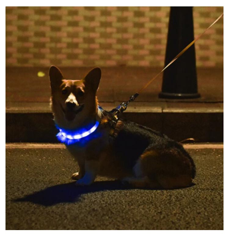 USB充電 ペット LED 光る カラー 小型犬 便利 散歩 リード ライト 首輪 光 繰り返し使える 犬 大型犬 光る首輪 猫 アウトドア 事故防止 安全グッズ ペット用品 柔らかい 痛くない ドッ