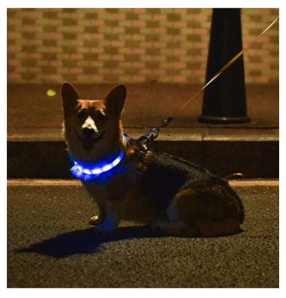USB充電 ペット LED 光る カラー 小型犬 便利 散歩 リード ライト 首輪 光 繰り返し使える 犬 大型犬 光る首輪 猫 アウトドア 事故防止 安全グッズ ペット用品 柔らかい 痛くない ドッ