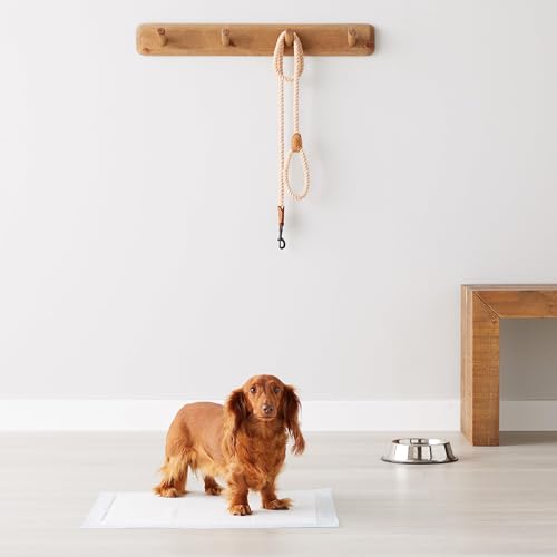 Amazonベーシック ペットシーツ 犬用トイレトレーニングパッド 標準サイズ 50枚セットブルー