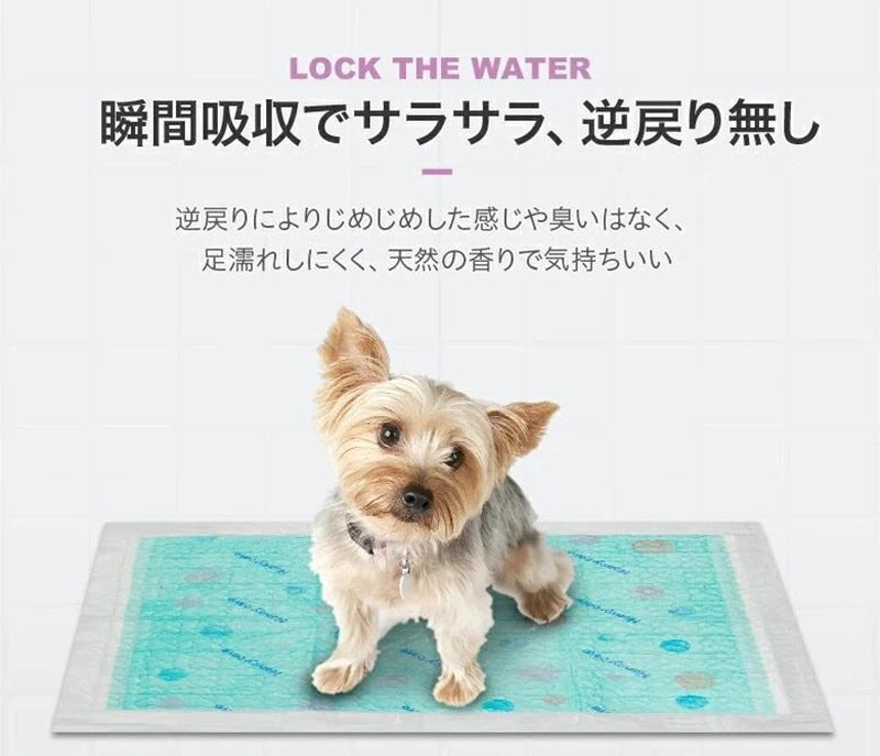 <a href="https://www.qoo10.jp/gmkt.inc/Search/brand.aspx?brandno=109151" target="_blank" class="title_brand" id="btn_brand" title="Honeycare">Honeycare</a>ペットシーツ 中厚型 ペットシート厚型 サイズ選択可 レギュラー ワイド スーパーワイド 香り付き 香りの選択