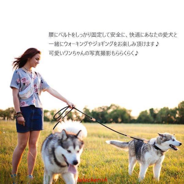 リード 犬 ハンズフリー 犬と一緒にランニング ジョギング 腰に巻ける 肩掛け ポール留め 便利 長め マルチ パラトコード ペット用品