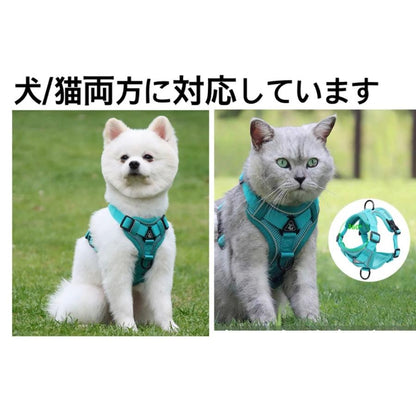 新商品プロモーション，数量限定 犬 犬ハーネス ハーネス リード付き 犬用 猫用 ペット しゃれ 脱げない かわいい 小型 中型 大型 メッシュ 胴輪 散歩 簡単装着 軽量 春 夏 秋 冬 かわいい