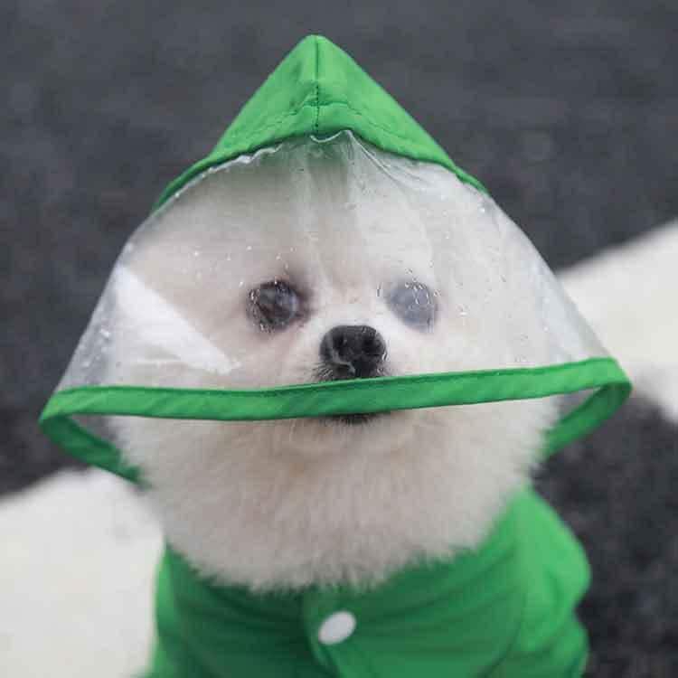 中型犬 ペット用品 犬 着せやすい ペット 中小型犬 ドッグウェア 防水 雨具 4脚カバー 軽量 つなぎ お出かけ 雨の日 レインコート プードル