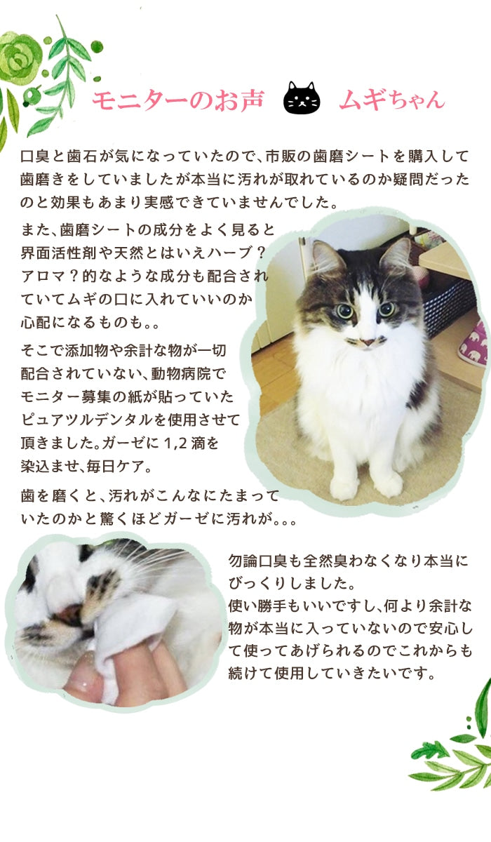 獣医推薦愛犬愛猫の歯垢歯石歯周病が塗るダケでツルツルな歯に！安心安全な100％天然由来！歯磨ジェル　ピュアツルデンタル60m