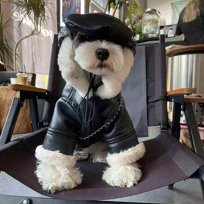 秋冬の犬服 テディボーミペットのコキシナレビーベア秋 暖かい可愛らしい 暖かい野球服 冬アウター中小型犬猫の綿の服です