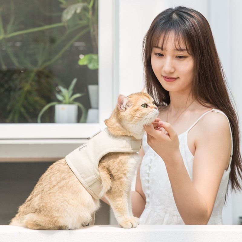 犬 ハーネスリード ２点セット ペット用品 大型犬 小型犬 中型犬 ペットグッズ 犬用 猫用 胴輪