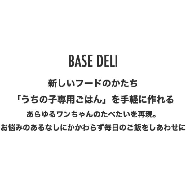 white fox ホワイトフォックス BASE DELI ベースデリ 500g 手づくりごはんベース