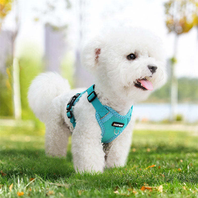 着脱簡単 4カラー 犬ハーネスリードセット 通気性抜群 春夏用最適 抜けない 蒸れない メッシュ素材