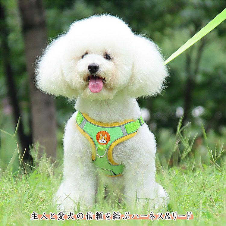 新商品プロモーション，数量限定 犬用 ハーネス 小型犬用 ハーネス リード ２点セット ペット用品 小型犬 全６色 S M L XL リード長さ約15ｍ ハーネス　胴輪　簡単着犬用 ハーネス