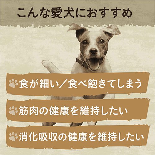 <a href="https://www.qoo10.jp/gmkt.inc/Search/brand.aspx?brandno=56209" target="_blank" class="title_brand" id="btn_brand" title="ワイルドレシピ">ワイルドレシピ</a>ニュートロ　ワイルド　レシピ　超小型犬ー小型犬用　成犬用　サーモン　４ｋｇX２袋＋パウチ　１袋　おまけ付　お一人様１点限り　ＣＲＣ45―02―53―25―00