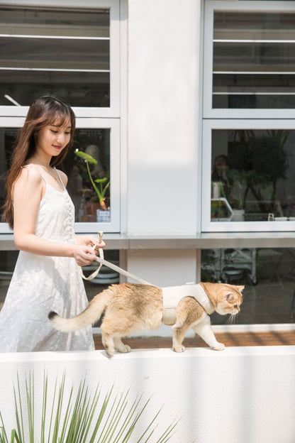 選べる福袋2025-犬 ハーネスリード ２点セット ペット用品 大型犬 小型犬 中型犬 ペットグッズ 犬用 猫用 胴輪