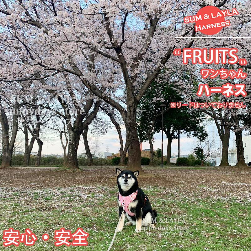 通気性 老犬 犬ハーネス 柴犬 犬 胴輪 に優しい 夏色 メッシュ H型 おしゃれ 体温調節 犬用 快適 犬 反射材 抜け防止 痛くない ハーネス ソフト 引っ張り子