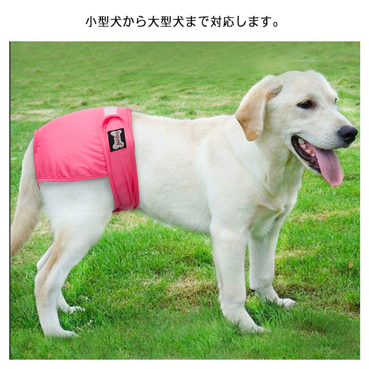 犬 マナーベルト マナーパンツ マナーバンド おむつカバー しつけ マーキング防止 トイレ 介護 女の子用 シニア犬 高齢犬 消臭 かぶれ 嫌がる 去勢 交配 散歩 避妊 オシッコ対策 マナー ズレ防