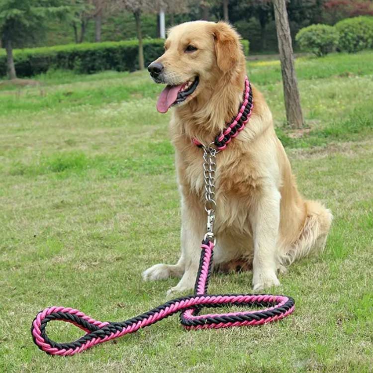 送料無料 リード 首輪 2点セット 犬 首輪セット リードセット 小型犬 中型犬 大型犬 太く 頑丈 丈夫 犬用リード 極太 編み紐 噛み癖 防止 ドッググッズ 散歩 お出かけ しつけ ペット ペット