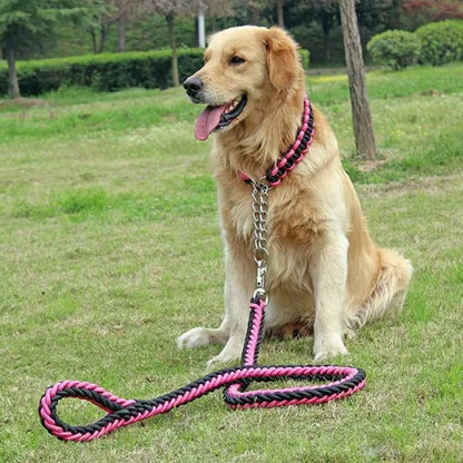 送料無料 リード 首輪 2点セット 犬 首輪セット リードセット 小型犬 中型犬 大型犬 太く 頑丈 丈夫 犬用リード 極太 編み紐 噛み癖 防止 ドッググッズ 散歩 お出かけ しつけ ペット ペット