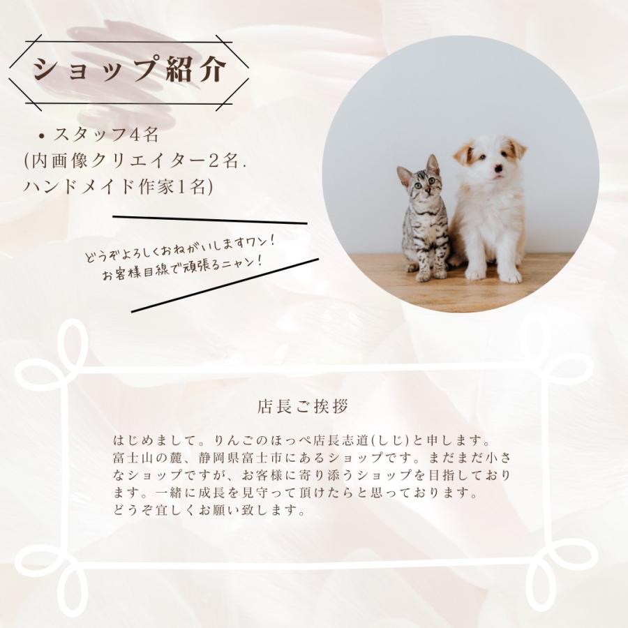 子犬 りんごのほっぺ 軽い 鈴 犬 猫の首輪 首輪 シンプル 猫用 猫 かわいい 子猫 おしゃれ かわいい セーフティバックル ペットグッズ専門店