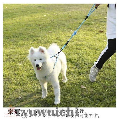 犬用 リード 2匹 犬 二頭引きリード ダブルリード 多頭飼い 小型犬 中型犬 大型犬 犬 2頭引き いぬ ドッグ用 お散歩グッズ お出かけ ペット用
