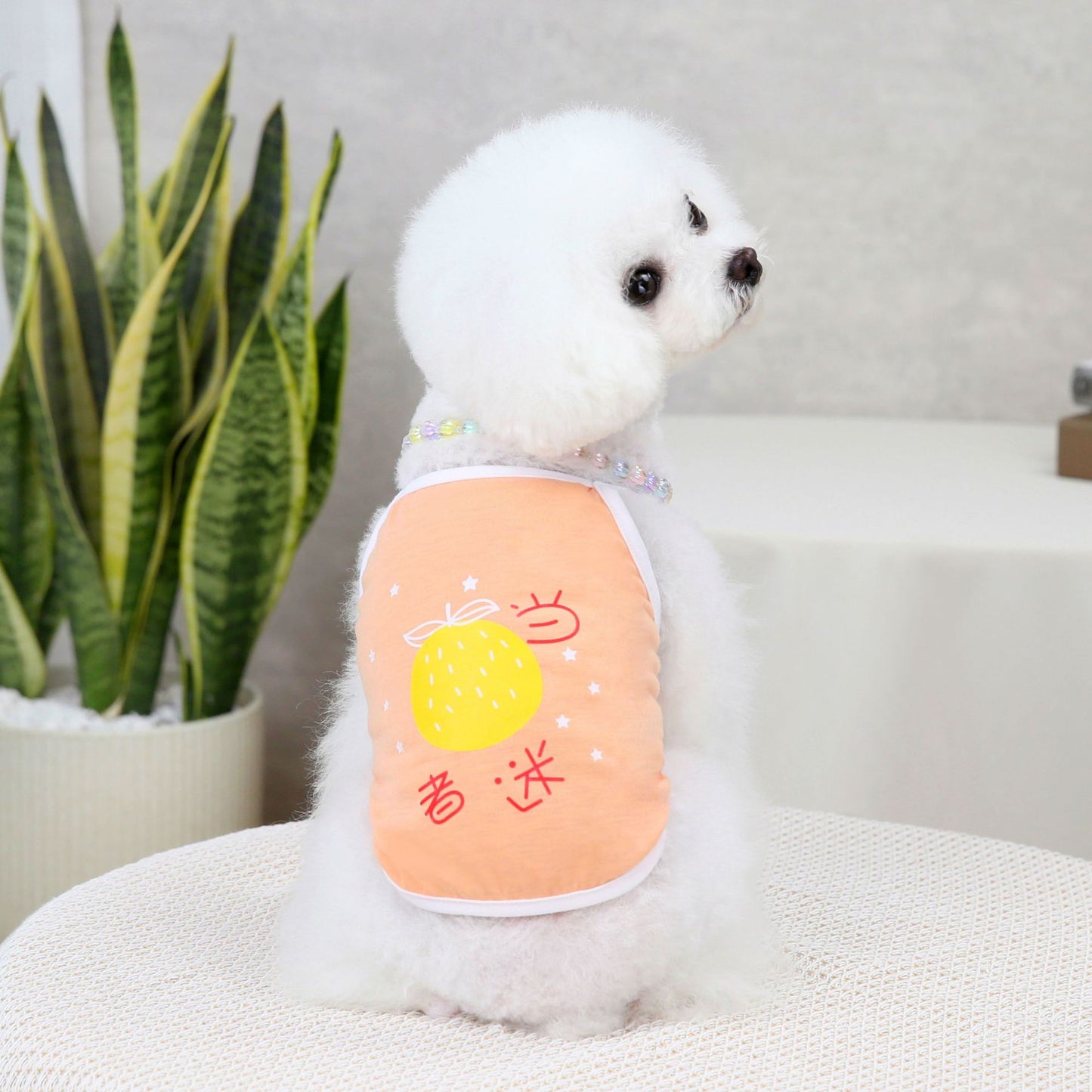 猫 犬 洋服 犬服 ペット服 大中小型犬 ペット用品 犬/猫用 犬の服 ペットウエア 小型犬 中型犬 通気 可愛い ドッグウェア トレーナー 犬 服 ワンピース サロペット ビションフリーゼ 犬猫服