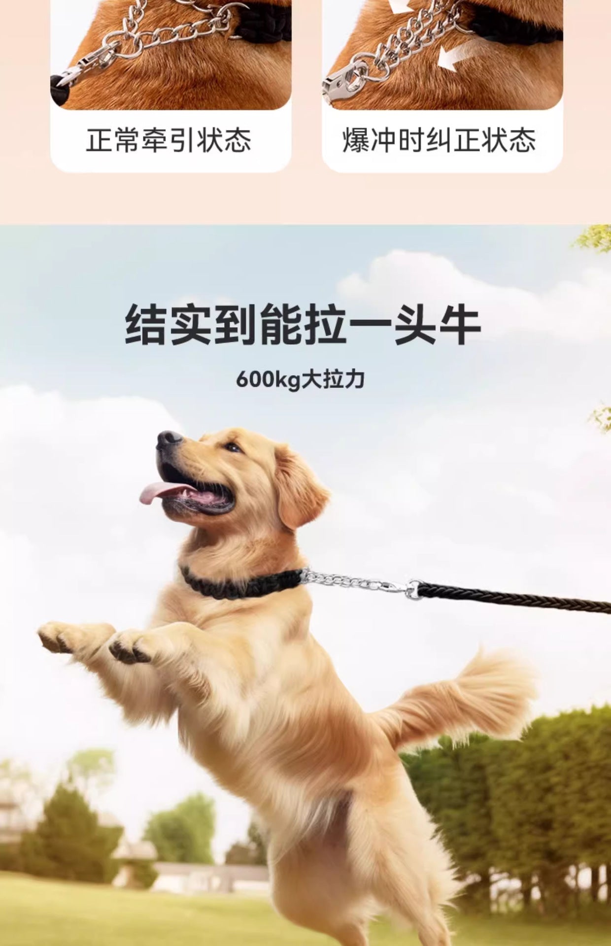 犬 リード ハーネス 紐 散歩紐 犬用デニムハーネス＆リード けん引ロープ ペット用品 s01