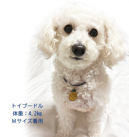 オーダーメイド 首輪 犬 おしゃれ 中型犬 小型犬 本革 かわいい 犬首輪 犬の首輪　猫用首輪