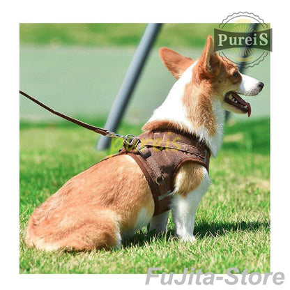 人気商品,犬 ハーネス リード付 ペット服 ウェアハーネス 胴輪 キャット ドッグ メッシュ 一体型 胸あて式 軽量 調節可能 犬用 小型犬 ペット用品 猫用首輪 猫/犬 可愛い