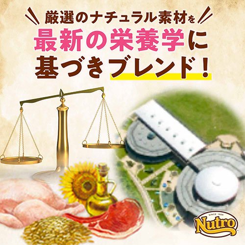<a href="https://www.qoo10.jp/gmkt.inc/Search/brand.aspx?brandno=56178" target="_blank" class="title_brand" id="btn_brand" title="ナチュラルチョイス">ナチュラルチョイス</a>ニュートロ　超小型犬ー小型犬　成犬用セット　減量用　チキン＆玄米　６ｋｇ＋ウェット　２種計２個　ＣＲＣ45―02―53―20―00