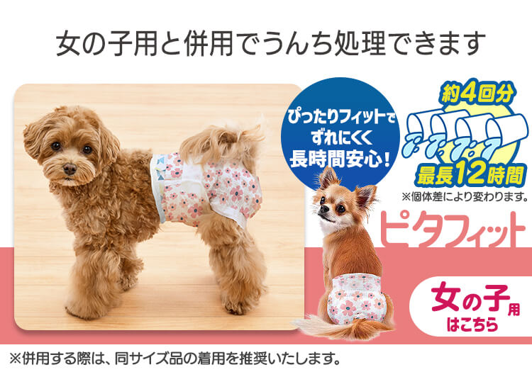 <a href="https://www.qoo10.jp/gmkt.inc/Search/brand.aspx?brandno=49458" target="_blank" class="title_brand" id="btn_brand" title="アイリスオーヤマ">アイリスオーヤマ</a>【公式】長時間安心／ ペットオムツ 男の子 マナーベルト オス 超小型犬 中型犬 ペット用 紙おむつ 介護 粗相 PitaFit MNPD * 送料無料