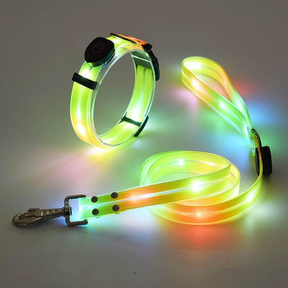 [送&料無料]リード LEDライト式リード LED 光る 首輪 ライト付き カラフル 夜間 USB 充電式 充電式 散歩 犬 発光 幅2.3cm 小型犬 点滅 犬用リード LEDライト式リード