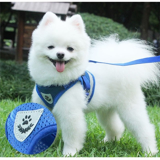 中型犬 ペット用品 反射板 胴輪 マジックテープ 通販 リード 愛犬グッズ 可愛い 小型犬 抜けない