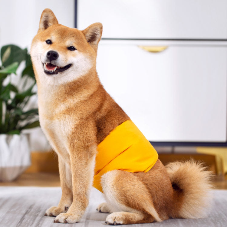沸騰新柄追加 犬用 マナーベルト 男の子 おむつカバー いぬ用 トイレ用品 マナーバンド 生理用 犬服 マーキング防止 尿もれ オシッコ対策 しつけ ドッグウェア ズレ防止 小型犬 中型犬 大型犬 ペ
