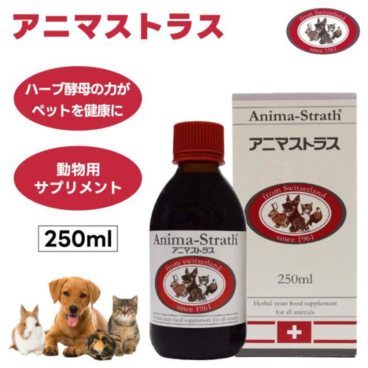 日本ビーエフ アニマストラス 250ml リキッド 液体 動物用 サプリメント 犬 猫 うさぎ モルモット 小動物 鳥 インコ オウム
