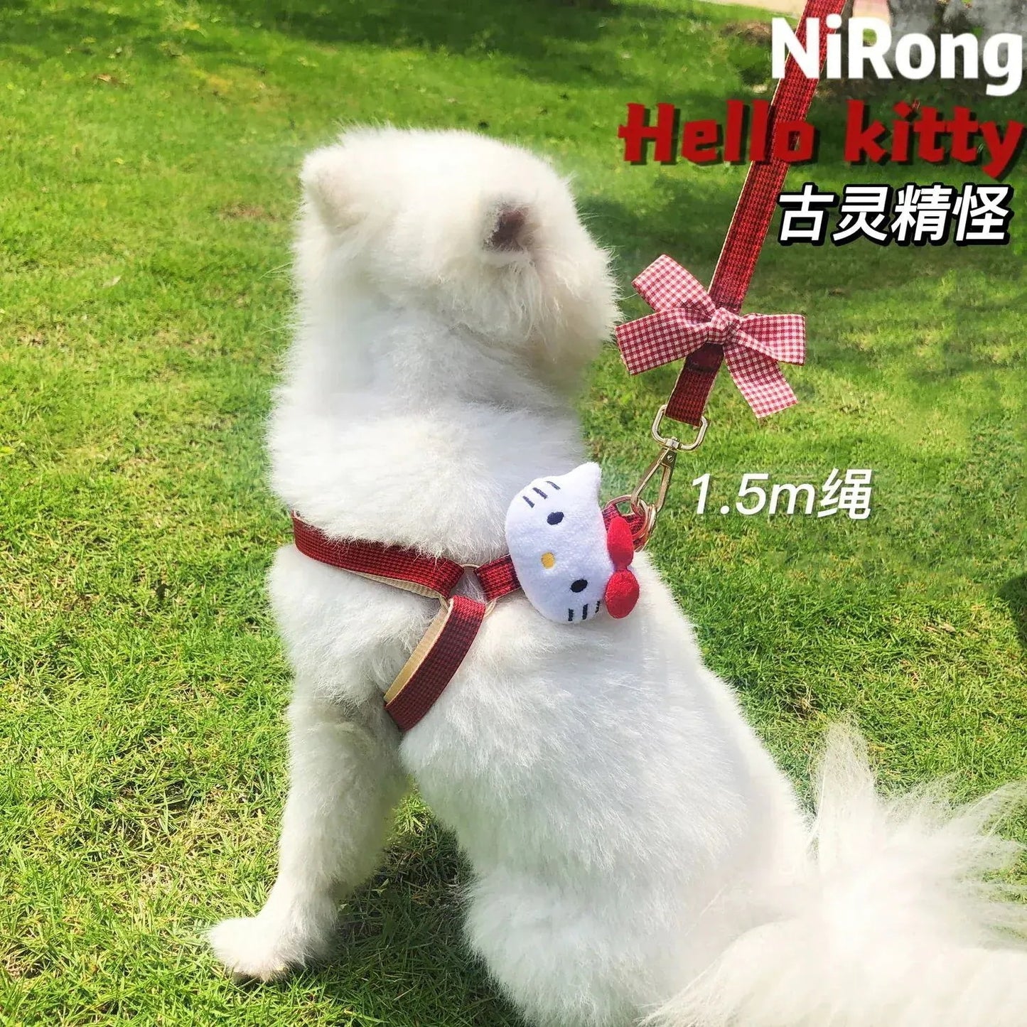 <a href="https://www.qoo10.jp/gmkt.inc/Search/brand.aspx?brandno=558" target="_blank" class="title_brand" id="btn_brand" title="サンリオ">サンリオ</a>サンリオ【極速出荷】【無料限定】犬牽引ロープ猫ロープかわいいベスト胸ストラップ犬ロープ犬チェーン脱出防止中小型犬