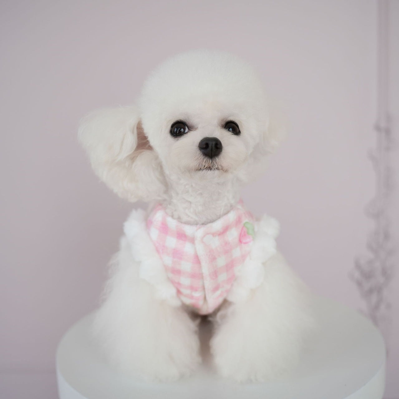 犬服秋冬新作 犬服 チェック柄 くま いちご スカート 猫 かわいい あったか スカート