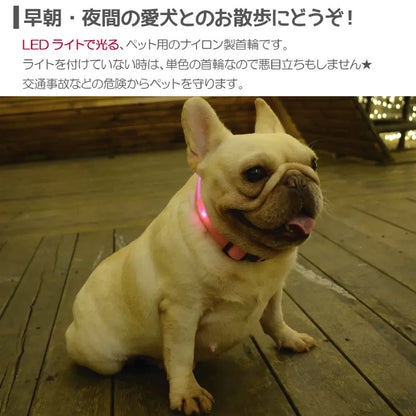 犬 首輪 光る LED キラキラ 光るバンド S/M/L 首バンド 夜間 散歩 夜 ペット リード ジョギング ウォーキング きらきらバンド 安全ライト 防止 点滅 ライト ins