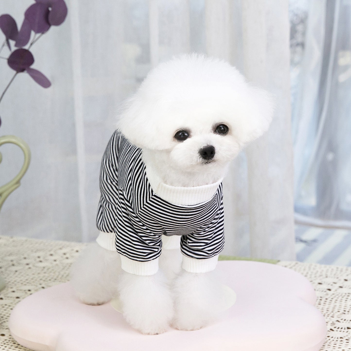 猫 犬 洋服 犬服 ペット服 大中小型犬 ペット用品 犬/猫用 犬の服 ペットウエア 小型犬 中型犬 通気 可愛い ドッグウェア トレーナー 犬 服 ワンピース サロペット ビションフリーゼ 犬猫服