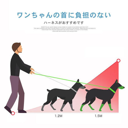 犬ウェアハーネス リードセット ネコ ワンちゃん 大人気 上品 全サイズ リードメッシュハーネス 愛犬 反射板 散歩 安心 マジックテープ