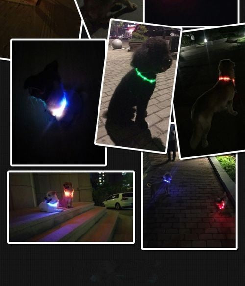 小型犬 プレゼントラッピング無料 犬 中型犬 シリコン 大型犬 防水 猫 LED 夜の散歩 首輪 取り外し可能 光る