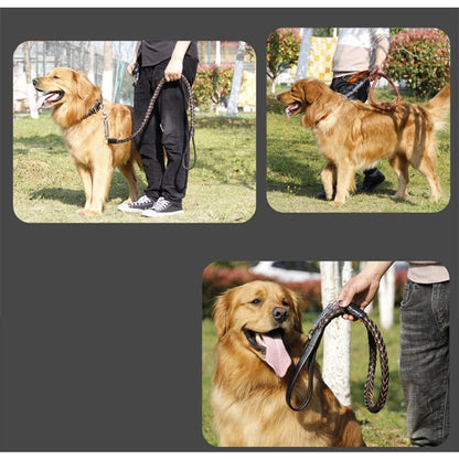 犬用 首輪 リード 大型犬 中型犬 ペットリード 革 レザー メタル スプリング付き 衝撃緩和 錆に強い 丈夫 頑丈 ちょっぴり かっこいい