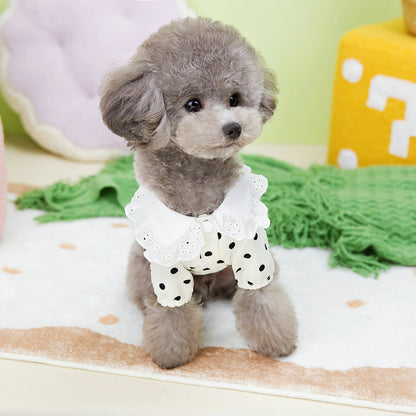 [犬 服]犬 洋服 ins人気商品 新作犬服春夏薄手Tシャツ小型犬ペットTシャツ二本足服