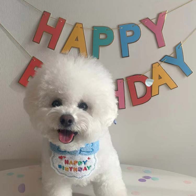 新作セールスタイ 誕生日 撮影 ハット ペット用 猫 バースデー ビブ 帽子 犬用 スカーフ よだれかけ 小型犬 ハッピーバースデー お祝い 写真 ペット用品 首飾り アクセサリー おしゃれ かわいい