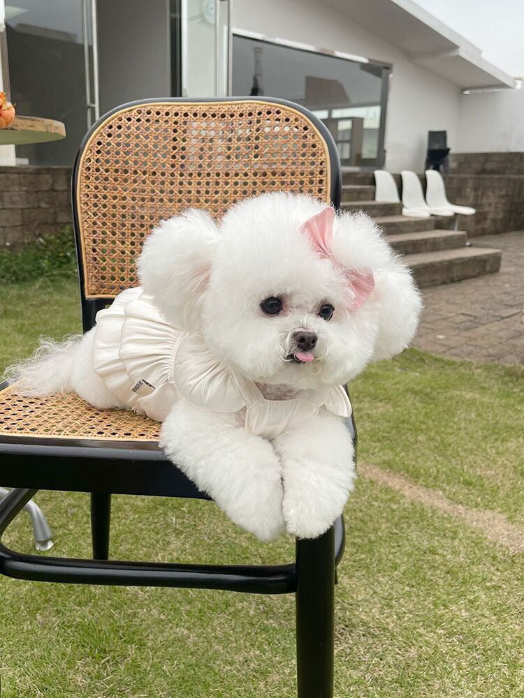 春夏新作 薄手のチョッキ ペット ペットの服 ペット用品 チュールスカートテディベア 愛犬 犬服 犬の服