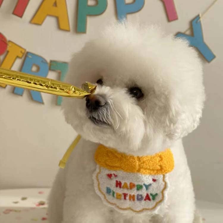 新作セールスタイ 誕生日 撮影 ハット ペット用 猫 バースデー ビブ 帽子 犬用 スカーフ よだれかけ 小型犬 ハッピーバースデー お祝い 写真 ペット用品 首飾り アクセサリー おしゃれ かわいい
