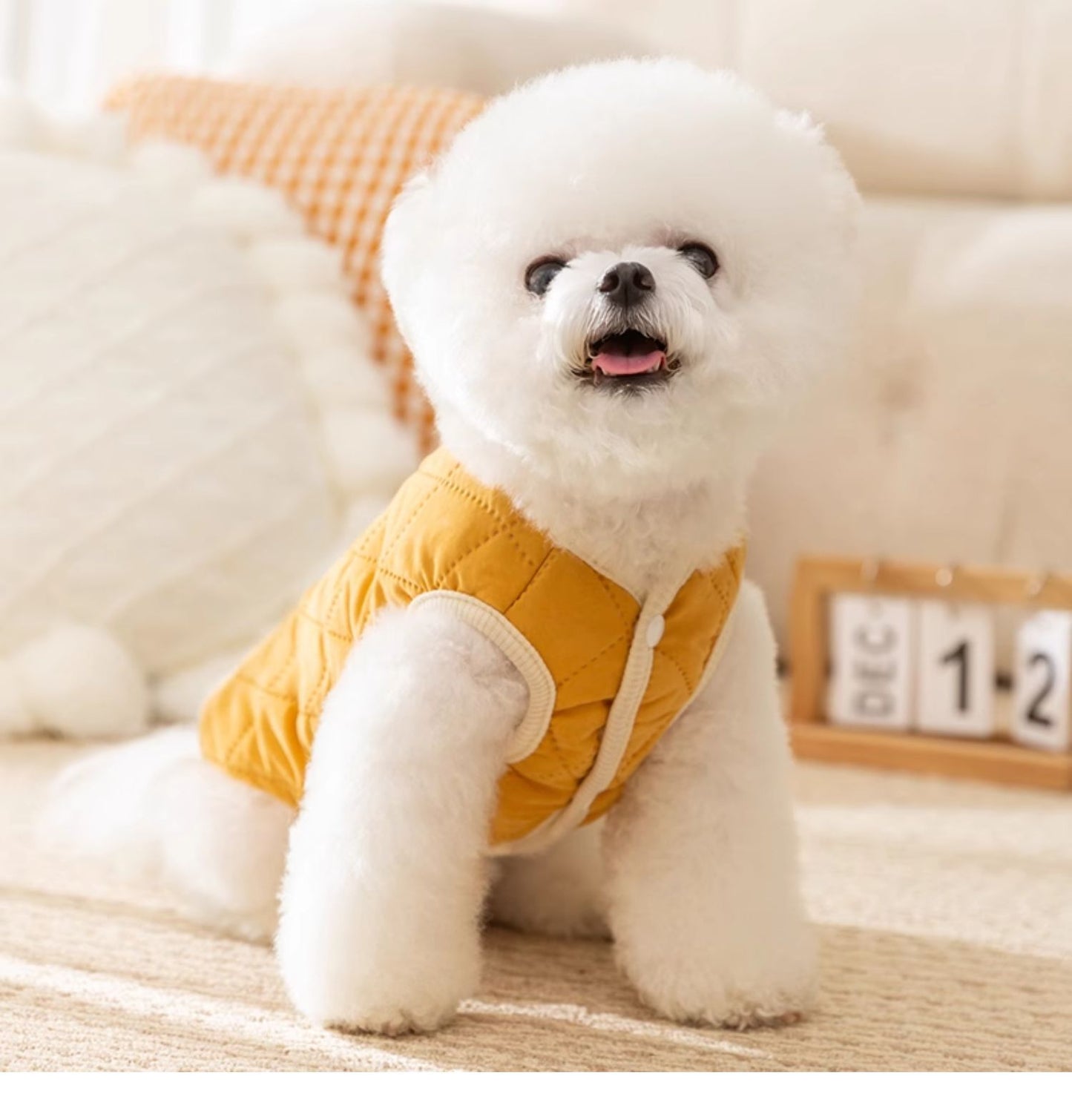 犬服 防寒着 ペット 厚手 無地 コットン 牽引可能 子犬用 猫 洋服 秋冬物