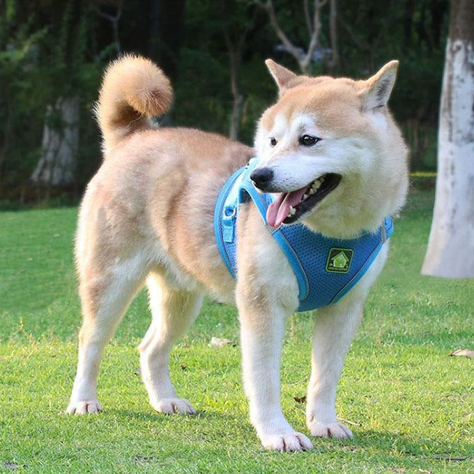 犬ウェアハーネス リードセット ネコ ワンちゃん 大人気 上品 全サイズ リードメッシュハーネス 愛犬 反射板 散歩 安心 マジックテープ