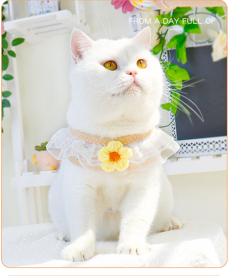 ペット用品 犬 軽量 ネコ用ハーネス 小型犬 胴輪 ハーネスリードセット 猫用 リーシュ ハーネス おしゃれ 中型犬 31 犬用ハーネス 犬用 ペットハーネス 簡単装着 2点セット お散歩 リード お
