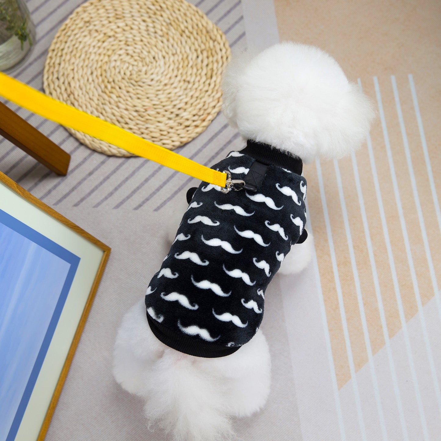 猫 犬 洋服 犬服 ペット服 大中小型犬 ペット用品 犬/猫用 犬の服 ペットウエア 小型犬 中型犬 通気 可愛い ドッグウェア トレーナー 犬 服 ワンピース サロペット ビションフリーゼ 犬猫服