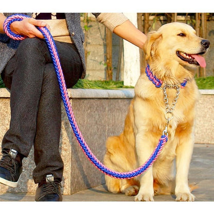 首輪 リード 2点セット 犬用 ペット用 ハーフチョーク リーシュ 1.2m 1.5m チェーン 牽引綱 シンプル お散歩 お出掛け ペット用品 ペッ
