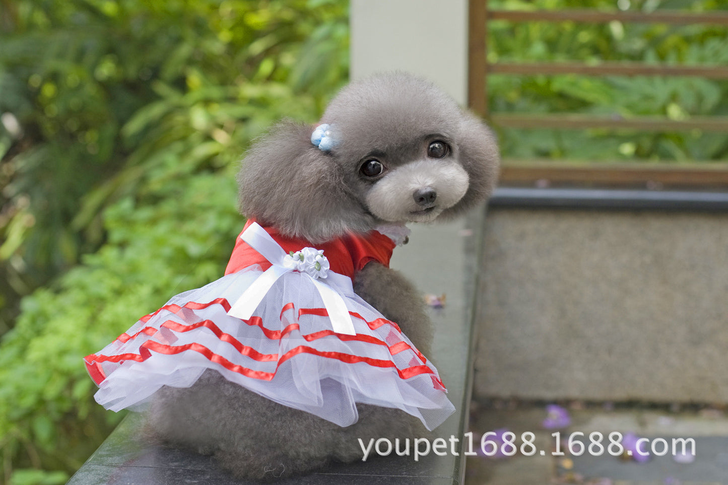 猫 犬 洋服 犬服 ペット服 大中小型犬 ペット用品 犬/猫用 犬の服 ペットウエア 小型犬 中型犬 通気 可愛い ドッグウェア トレーナー 犬 服 ワンピース サロペット ビションフリーゼ 犬猫服